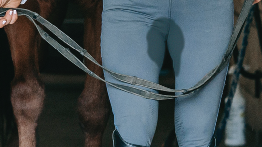 Saddle wetness: Is your saddle wet?